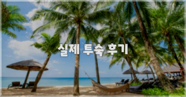 💬 실제 투숙 후기