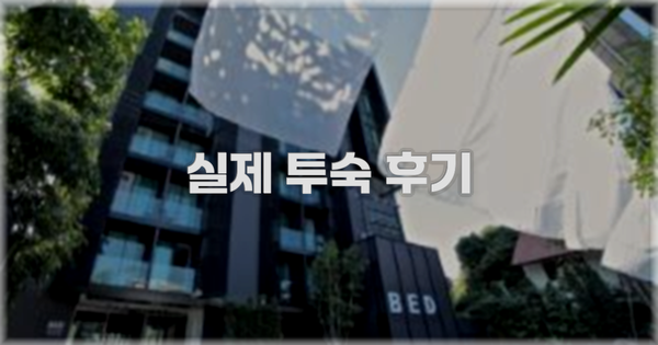 💬 실제 투숙 후기